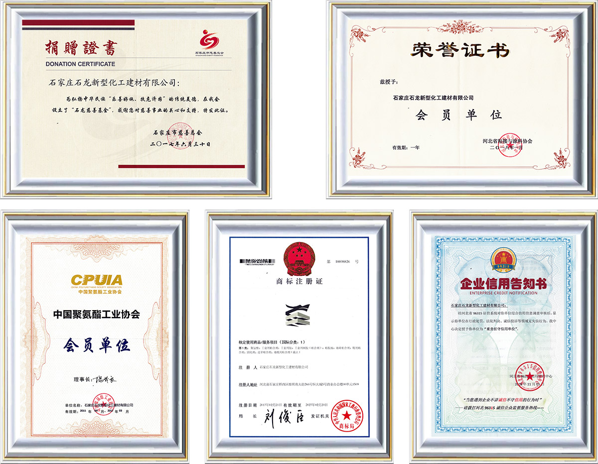 Shijiazhuang Shilong New Building Materials Chemical Co., Ltd.