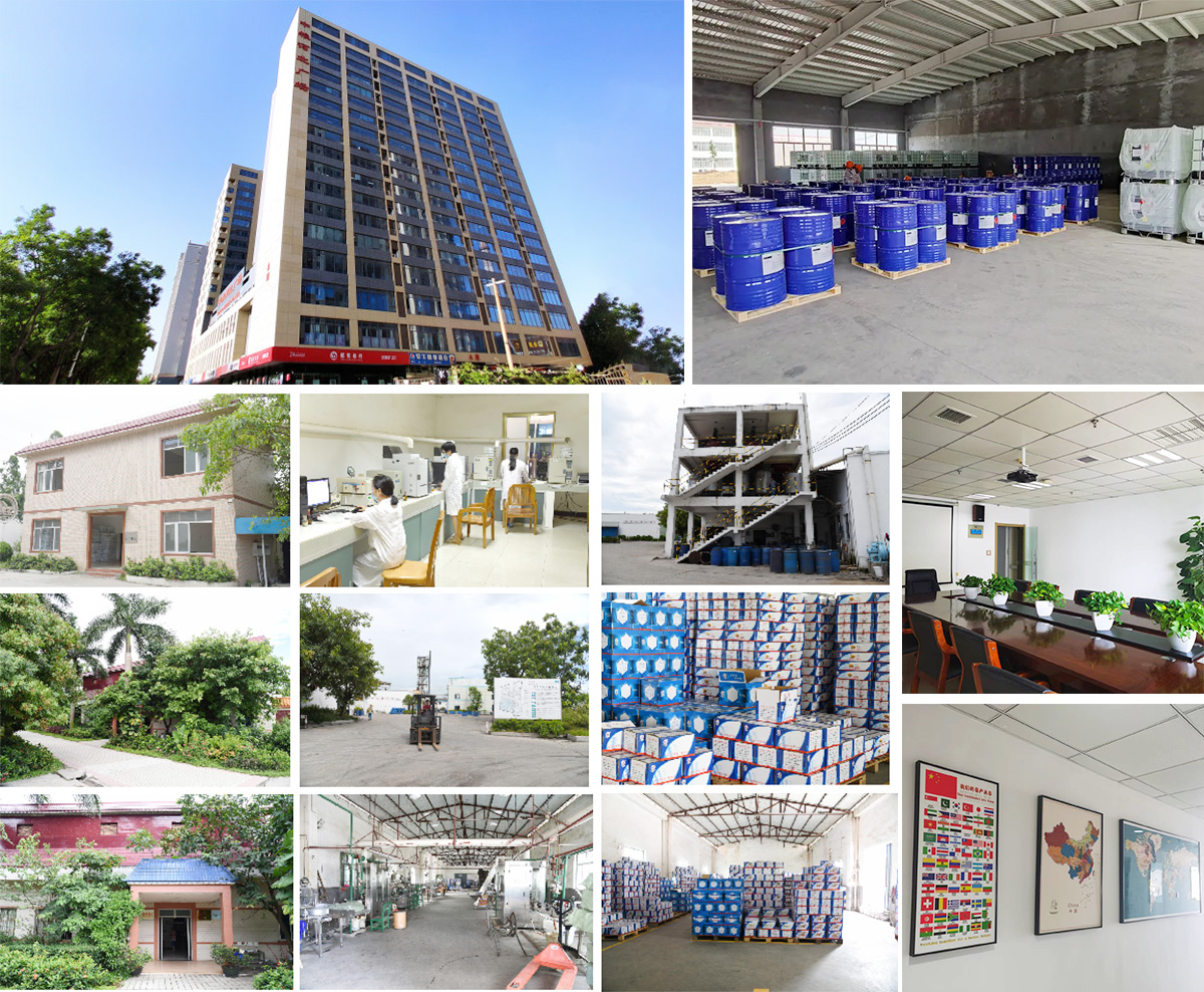 Shijiazhuang Bestcare International Trade Co., Ltd.