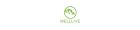 Hebei Welllive Trade Co., Ltd.