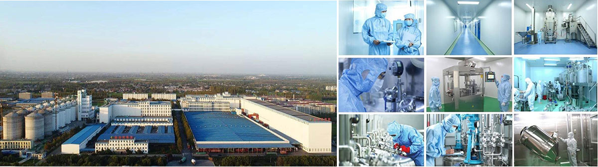 Hebei Lvyang Biotechnology Co., Ltd.